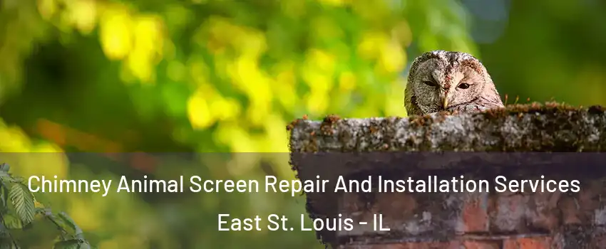  Chimney Animal Screen Repair And Installation Services East St. Louis - IL