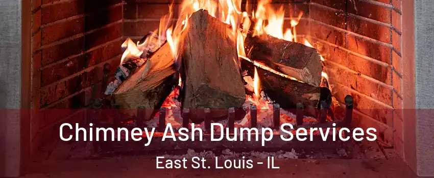  Chimney Ash Dump Services East St. Louis - IL