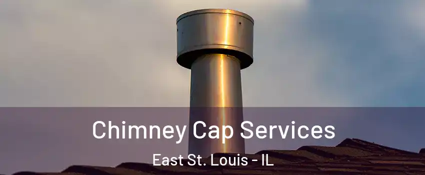  Chimney Cap Services East St. Louis - IL
