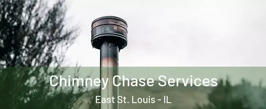  Chimney Chase Services East St. Louis - IL