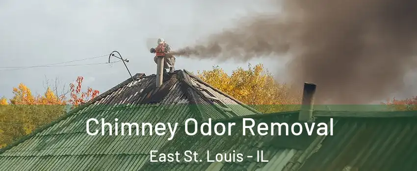  Chimney Odor Removal East St. Louis - IL
