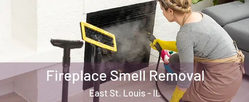  Fireplace Smell Removal East St. Louis - IL