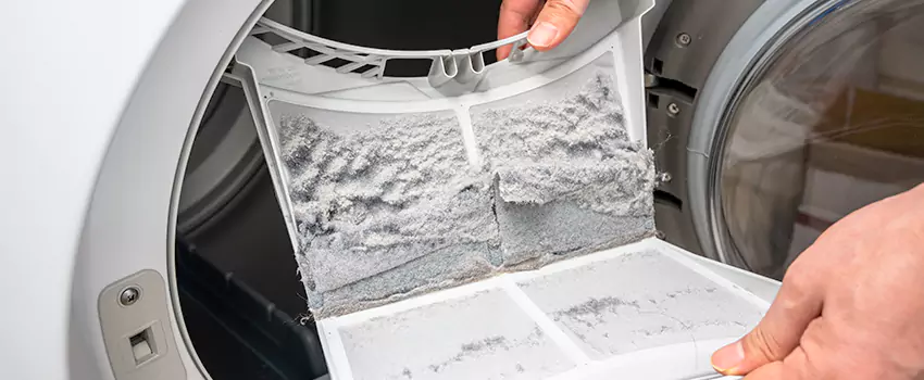 Best Dryer Lint Removal Company in East St. Louis, Illinois