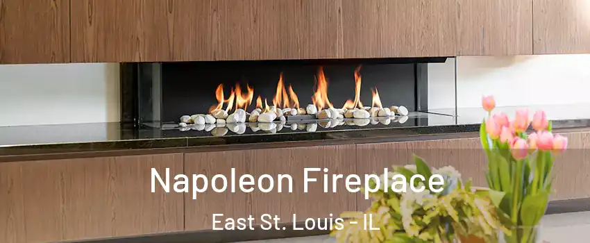  Napoleon Fireplace East St. Louis - IL